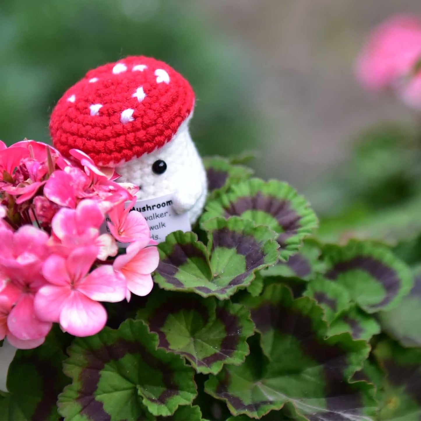 Mini Positive Cute Funny Life Potato Tomato Eggplant Onion Cute Animals Creative Knitted Holding Card Crochet Birthday Christmas Girls Gifts Party Decor
