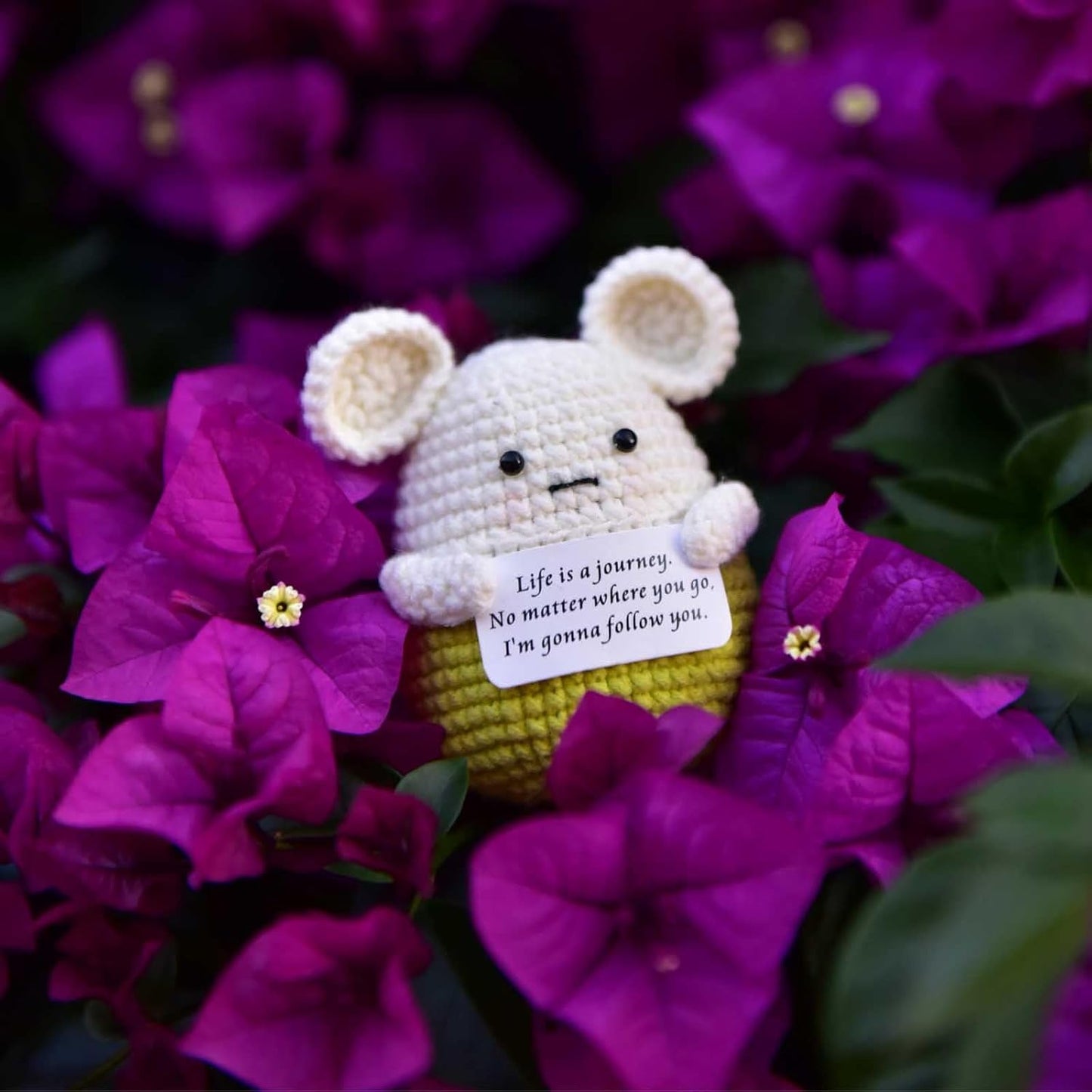 Mini Positive Cute Funny Life Potato Tomato Eggplant Onion Cute Animals Creative Knitted Holding Card Crochet Birthday Christmas Girls Gifts Party Decor