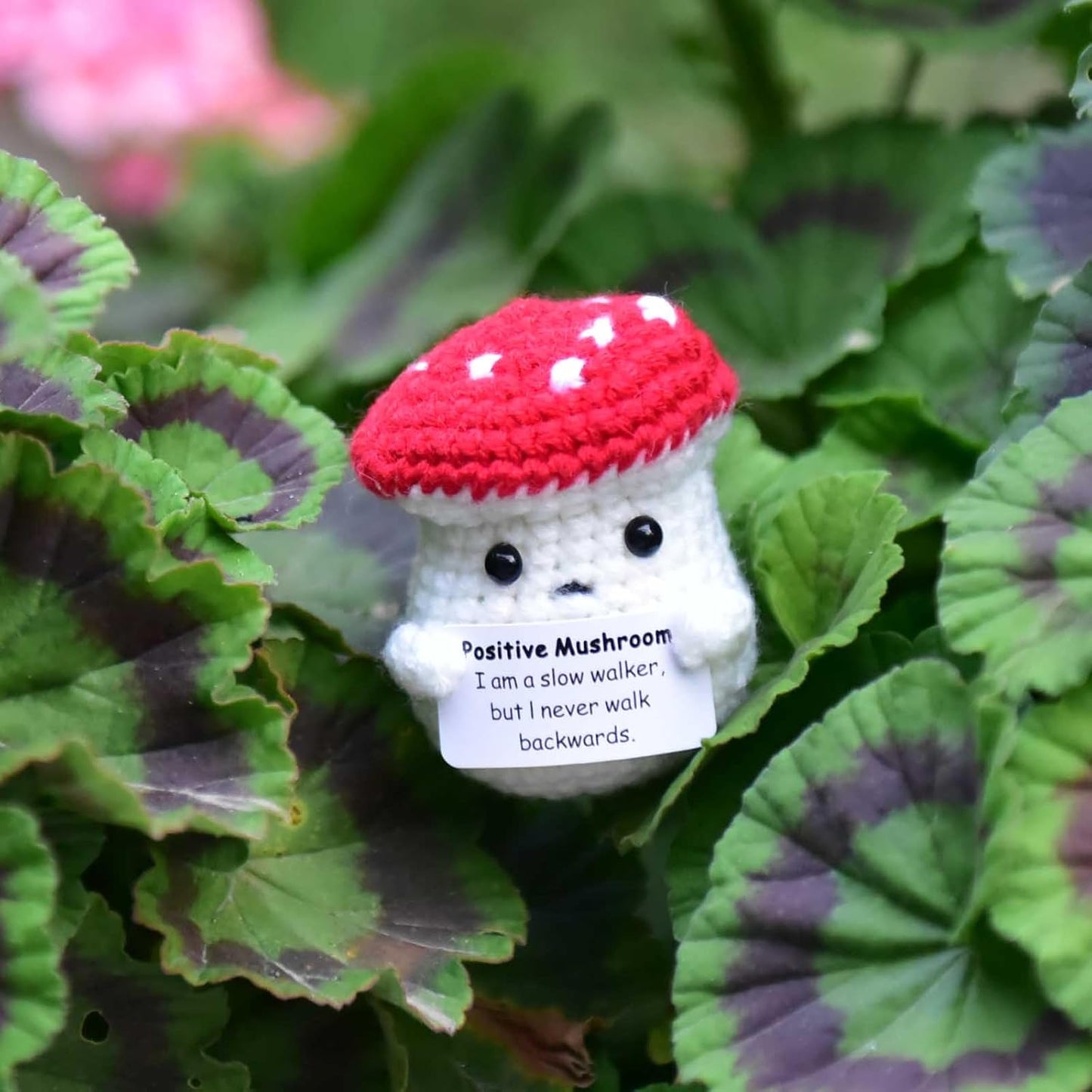 Mini Positive Cute Funny Life Potato Tomato Eggplant Onion Cute Animals Creative Knitted Holding Card Crochet Birthday Christmas Girls Gifts Party Decor