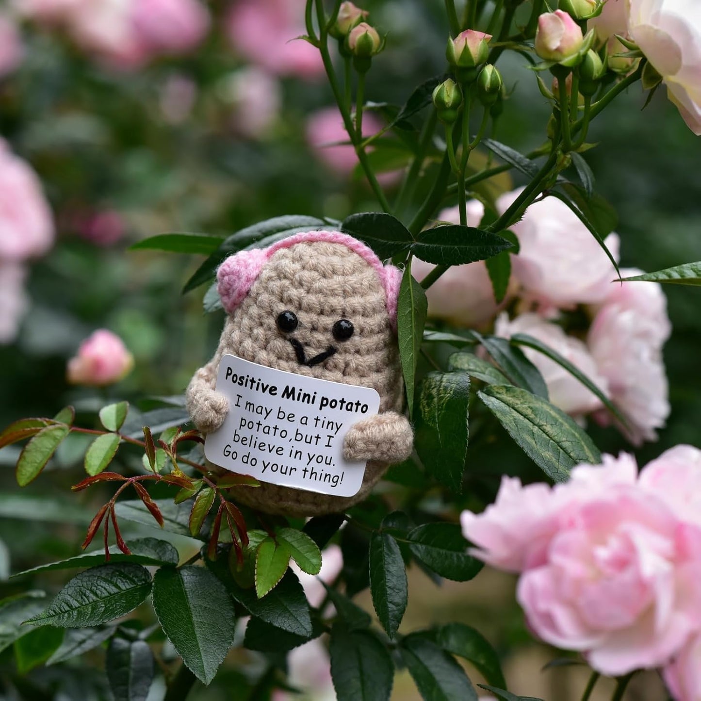 Mini Positive Cute Funny Life Potato Tomato Eggplant Onion Cute Animals Creative Knitted Holding Card Crochet Birthday Christmas Girls Gifts Party Decor