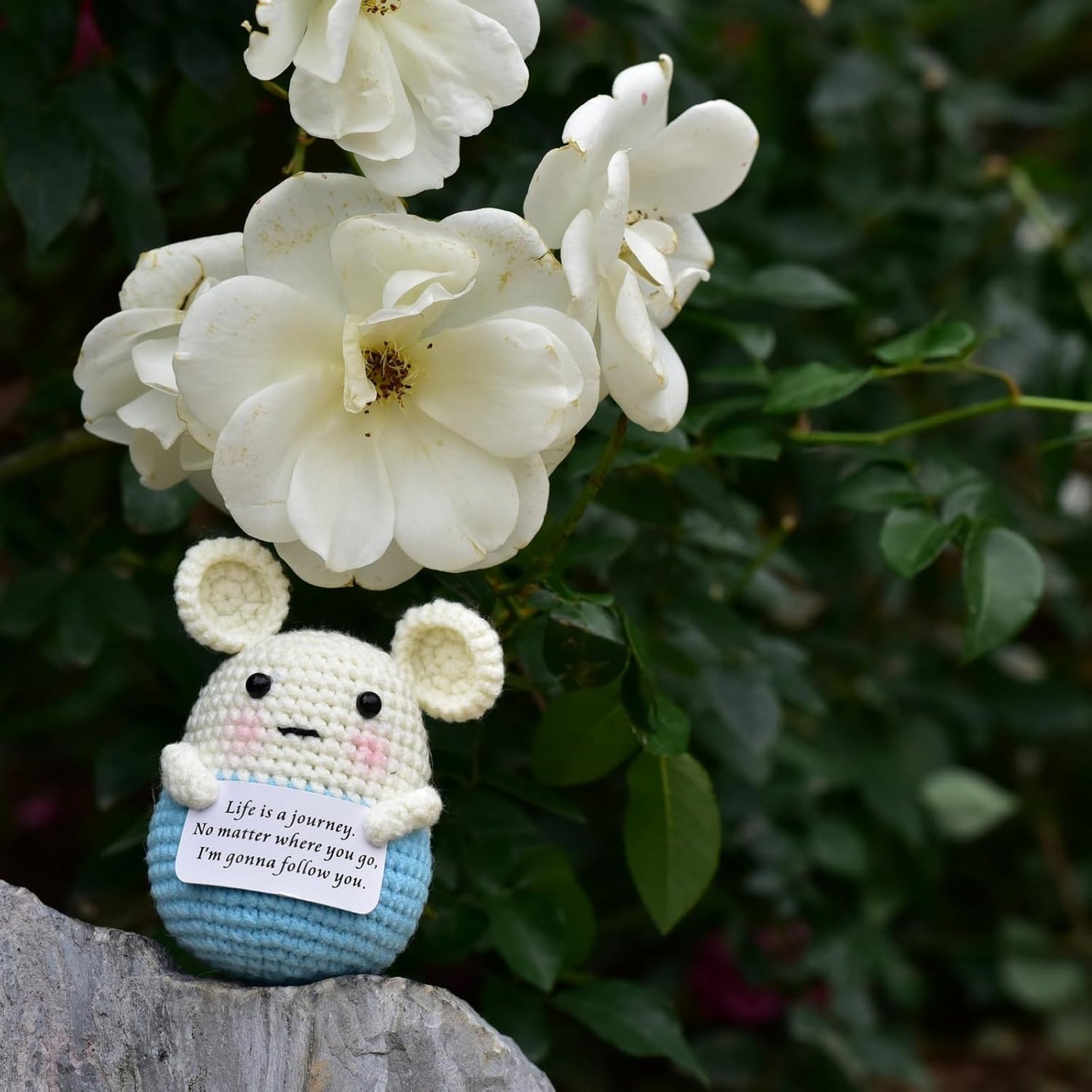 Mini Positive Cute Funny Life Potato Tomato Eggplant Onion Cute Animals Creative Knitted Holding Card Crochet Birthday Christmas Girls Gifts Party Decor