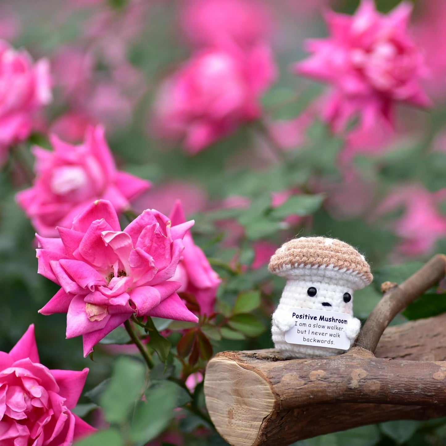 Mini Positive Cute Funny Life Potato Tomato Eggplant Onion Cute Animals Creative Knitted Holding Card Crochet Birthday Christmas Girls Gifts Party Decor
