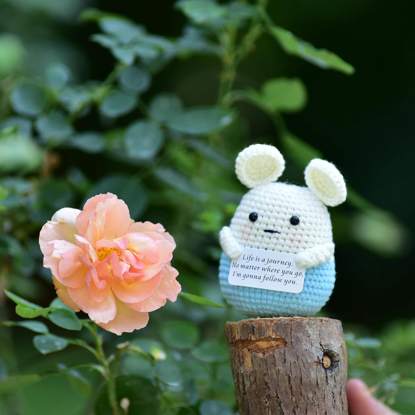 Mini Positive Cute Funny Life Potato Tomato Eggplant Onion Cute Animals Creative Knitted Holding Card Crochet Birthday Christmas Girls Gifts Party Decor