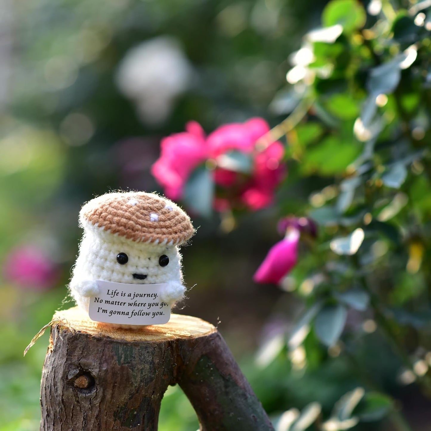 Mini Positive Cute Funny Life Potato Tomato Eggplant Onion Cute Animals Creative Knitted Holding Card Crochet Birthday Christmas Girls Gifts Party Decor