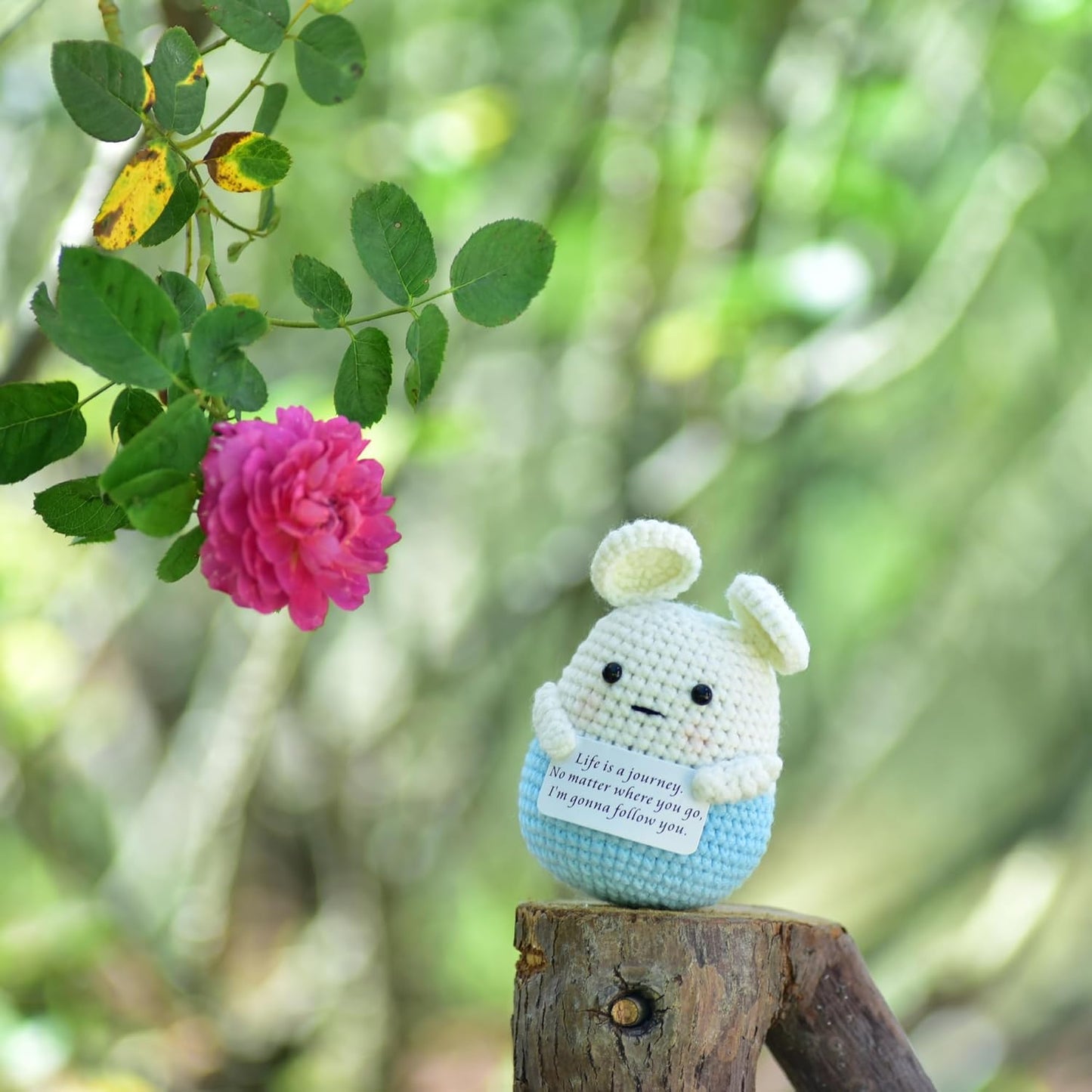 Mini Positive Cute Funny Life Potato Tomato Eggplant Onion Cute Animals Creative Knitted Holding Card Crochet Birthday Christmas Girls Gifts Party Decor
