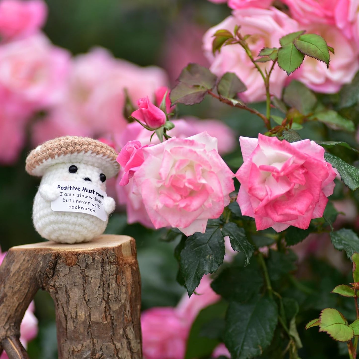 Mini Positive Cute Funny Life Potato Tomato Eggplant Onion Cute Animals Creative Knitted Holding Card Crochet Birthday Christmas Girls Gifts Party Decor