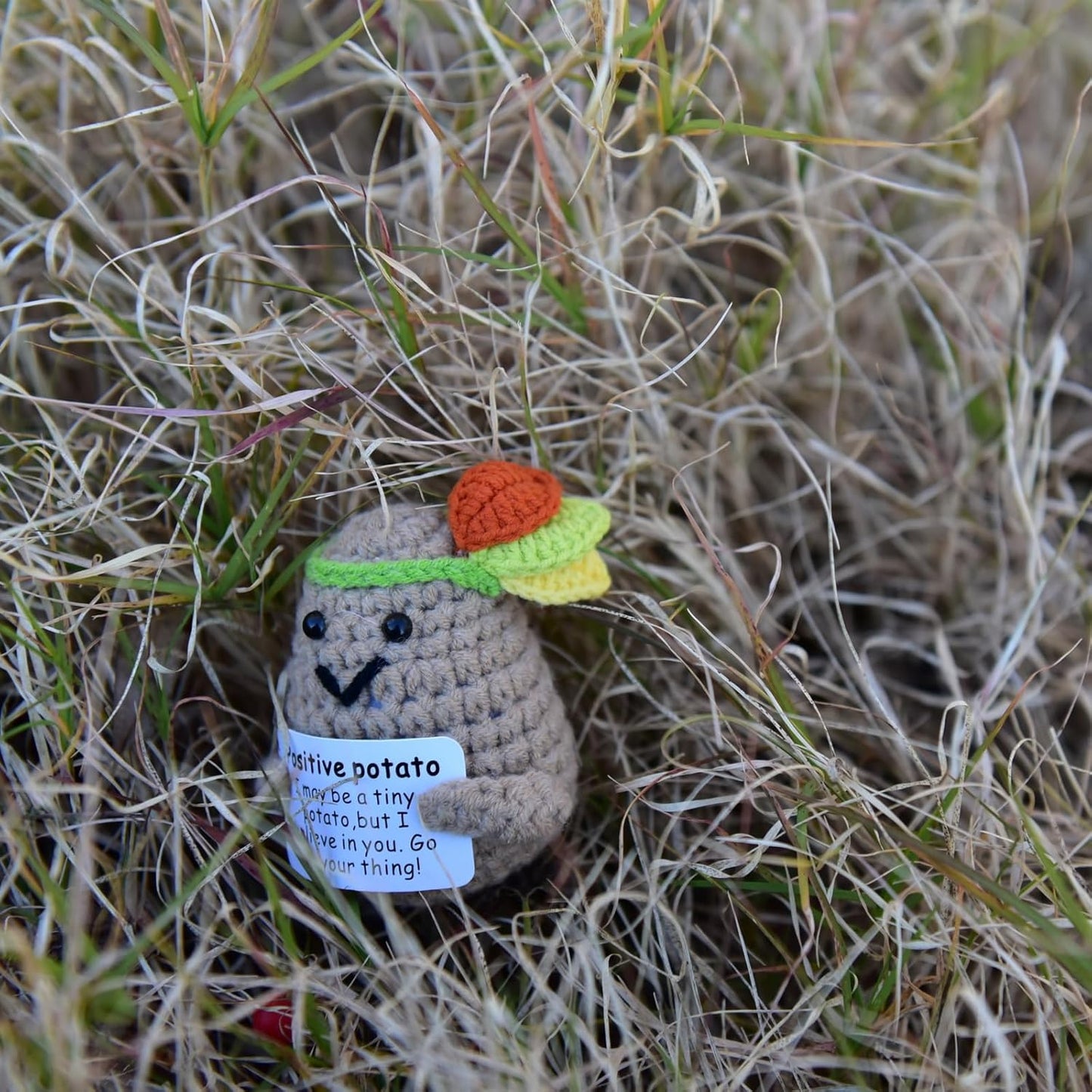Mini Positive Cute Funny Life Potato Tomato Eggplant Onion Cute Animals Creative Knitted Holding Card Crochet Birthday Christmas Girls Gifts Party Decor