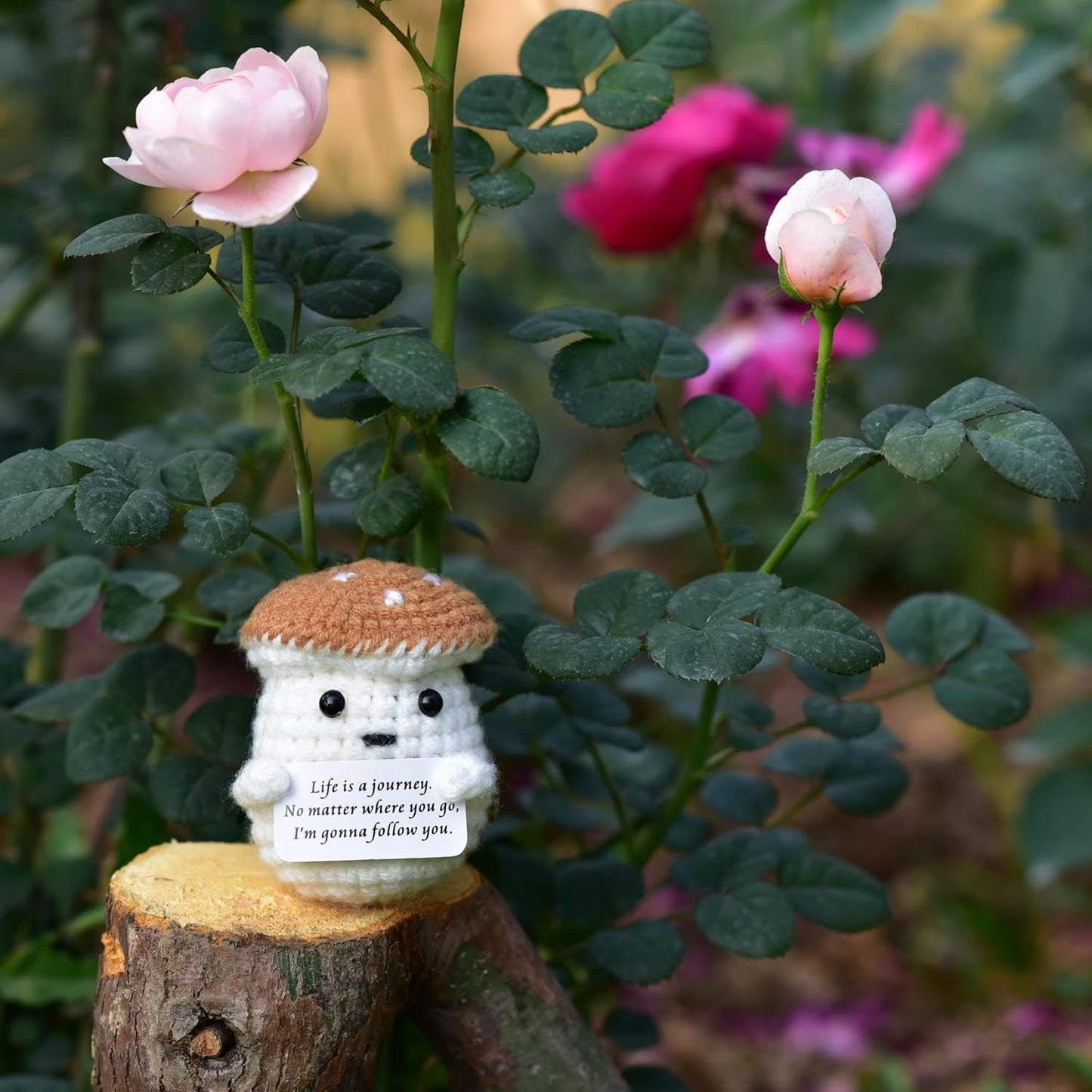 Mini Positive Cute Funny Life Potato Tomato Eggplant Onion Cute Animals Creative Knitted Holding Card Crochet Birthday Christmas Girls Gifts Party Decor