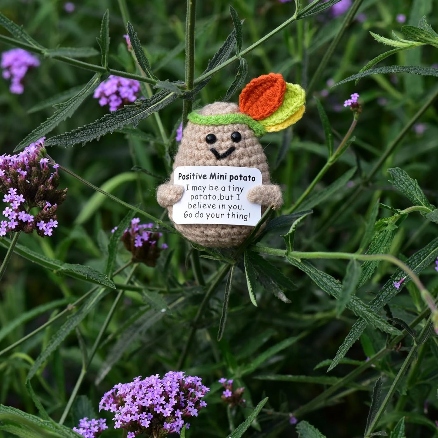Mini Positive Cute Funny Life Potato Tomato Eggplant Onion Cute Animals Creative Knitted Holding Card Crochet Birthday Christmas Girls Gifts Party Decor