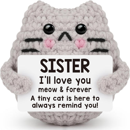 Crochet Cat Easter Basket Stuffers Positive Cat Crochet for Friend for Mom Grandma Dad Grandpa Daughter Son Gifts, Emotional Coworker Sister Brother Support Small Birthday Gifts
