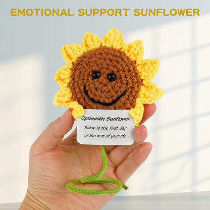 Hoedia Handmade Emotional Pickle Gift, Cucumber Crochet Doll Inspirational Gifts with Cards, Cute Knitted Funny Support Pickle Potato Friend Birthday (Emotional Strawberry)