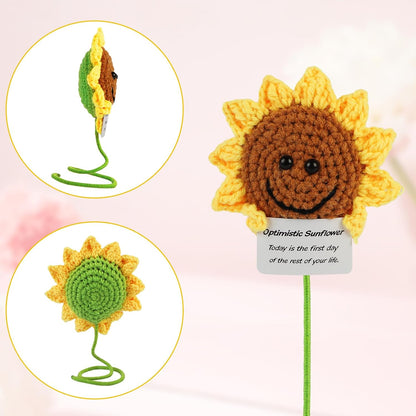 Hoedia Handmade Emotional Pickle Gift, Cucumber Crochet Doll Inspirational Gifts with Cards, Cute Knitted Funny Support Pickle Potato Friend Birthday (Emotional Strawberry)