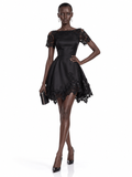 Black Lace Fit and Flare Mini Dress