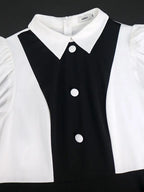Business Work Dresses Vintage Swing Turn-Down Collar Dress