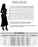 Lace Patchwork Lantern Sleeves Hollow Out Pleated Dress