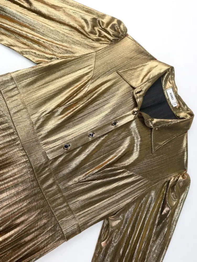 Pleated Dress Turn Down Collar Lantern Sleeves Button Up