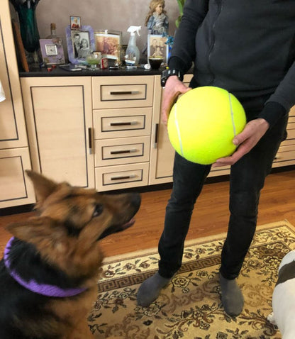 Monster Tennis Ball