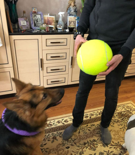 Monster Tennis Ball
